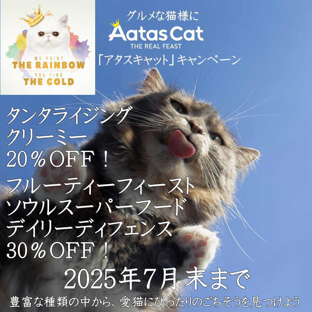 アタスキャット
