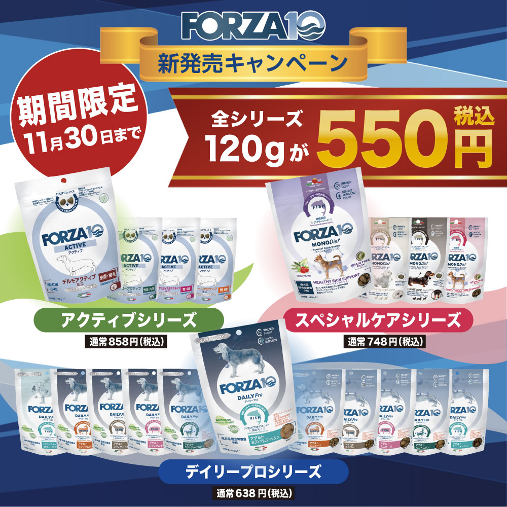 フォルツァ10120g