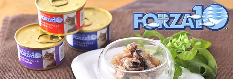 フォルツァ10