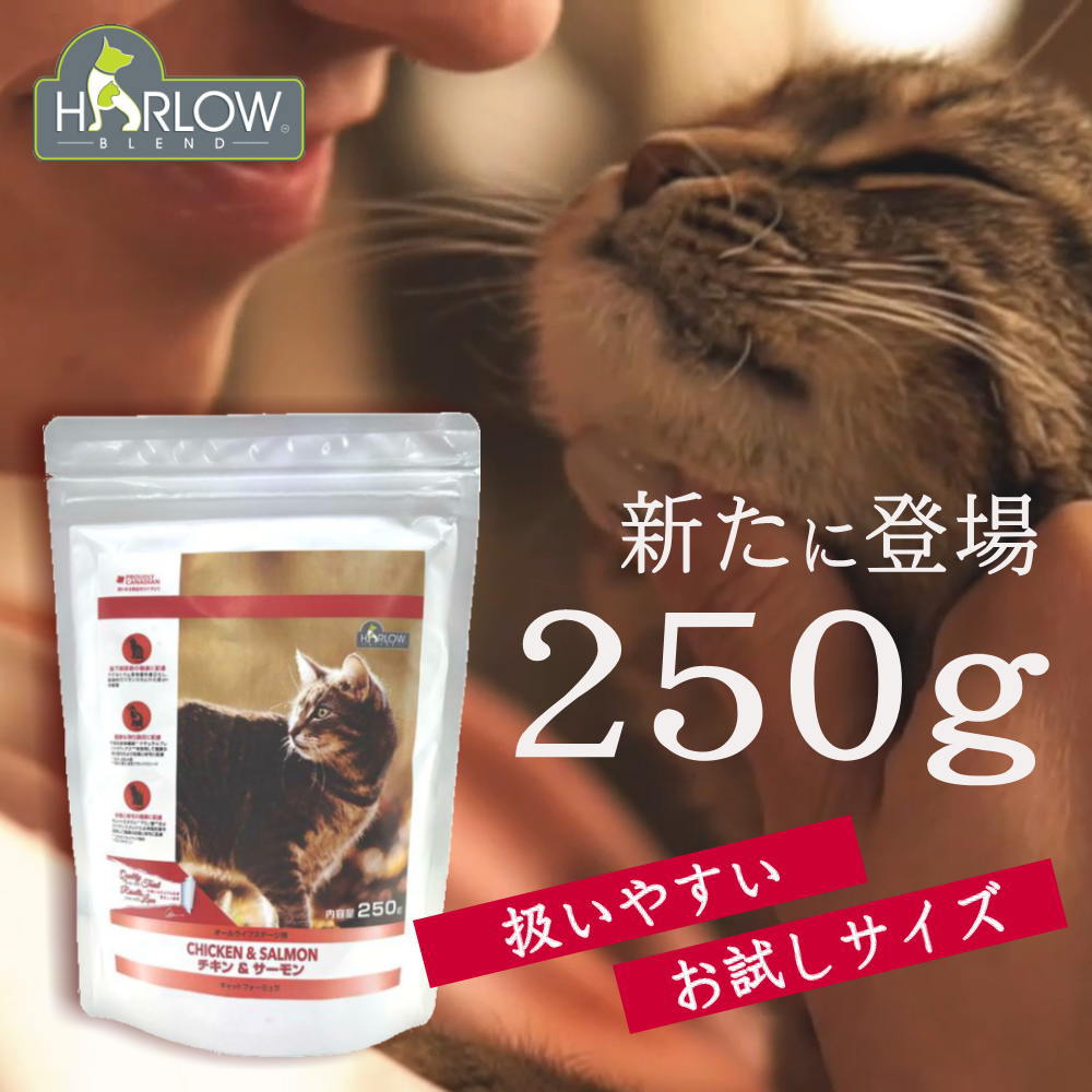ハーロウブレンド250