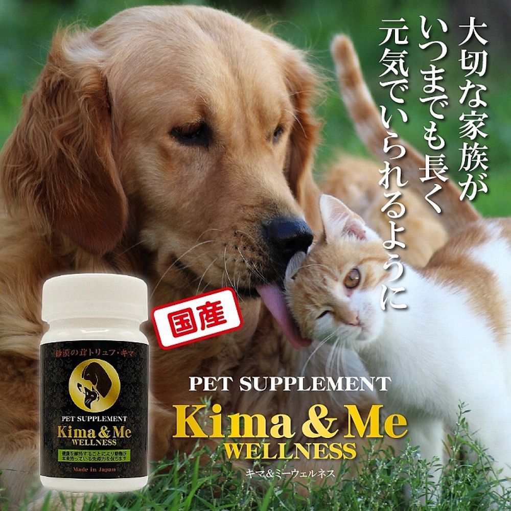 キマ＆ミー