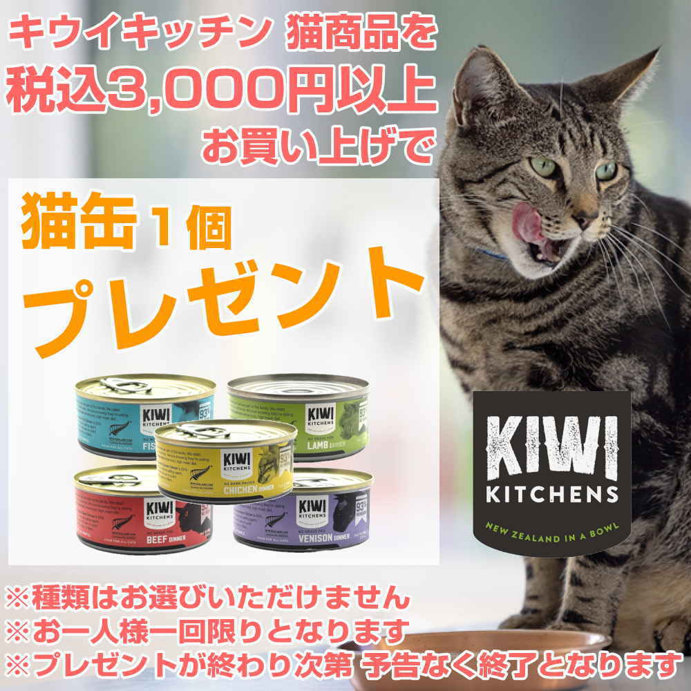 kiwicat