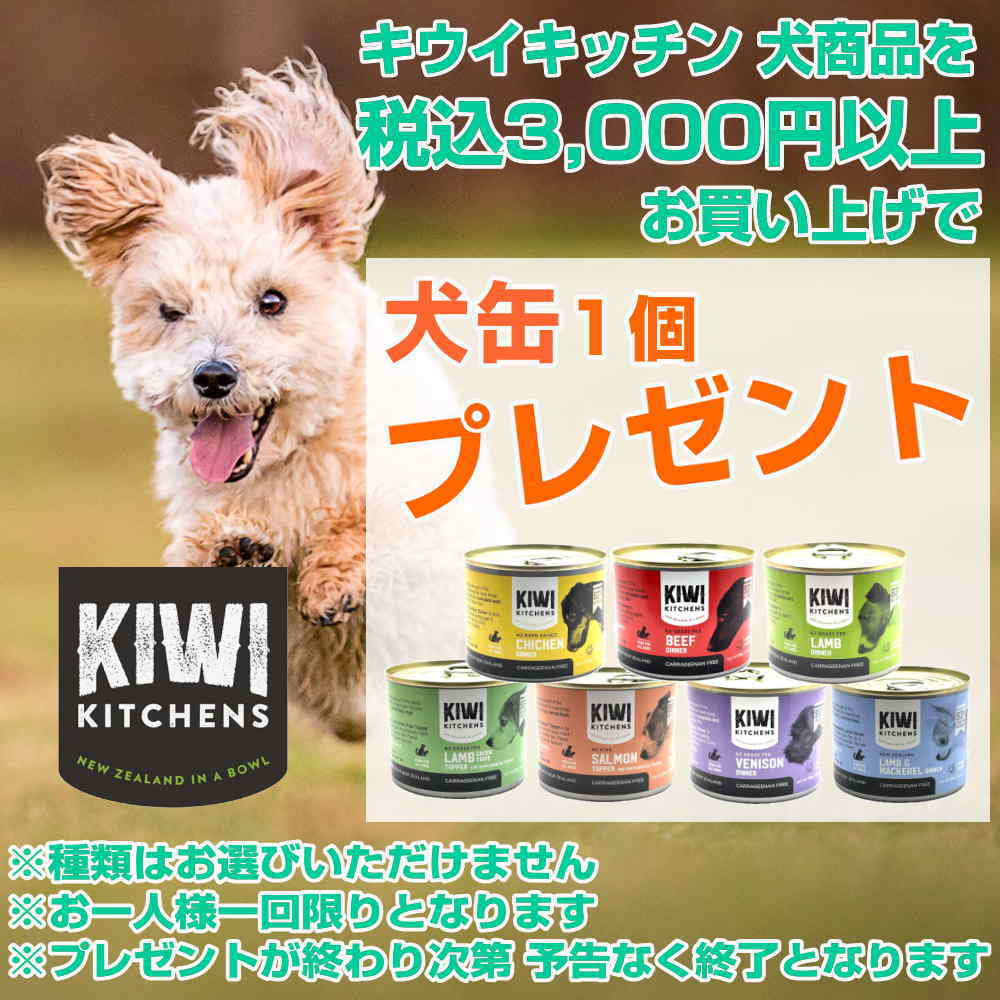 kiwidog