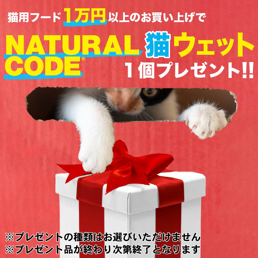 ナチュラルコードプレ