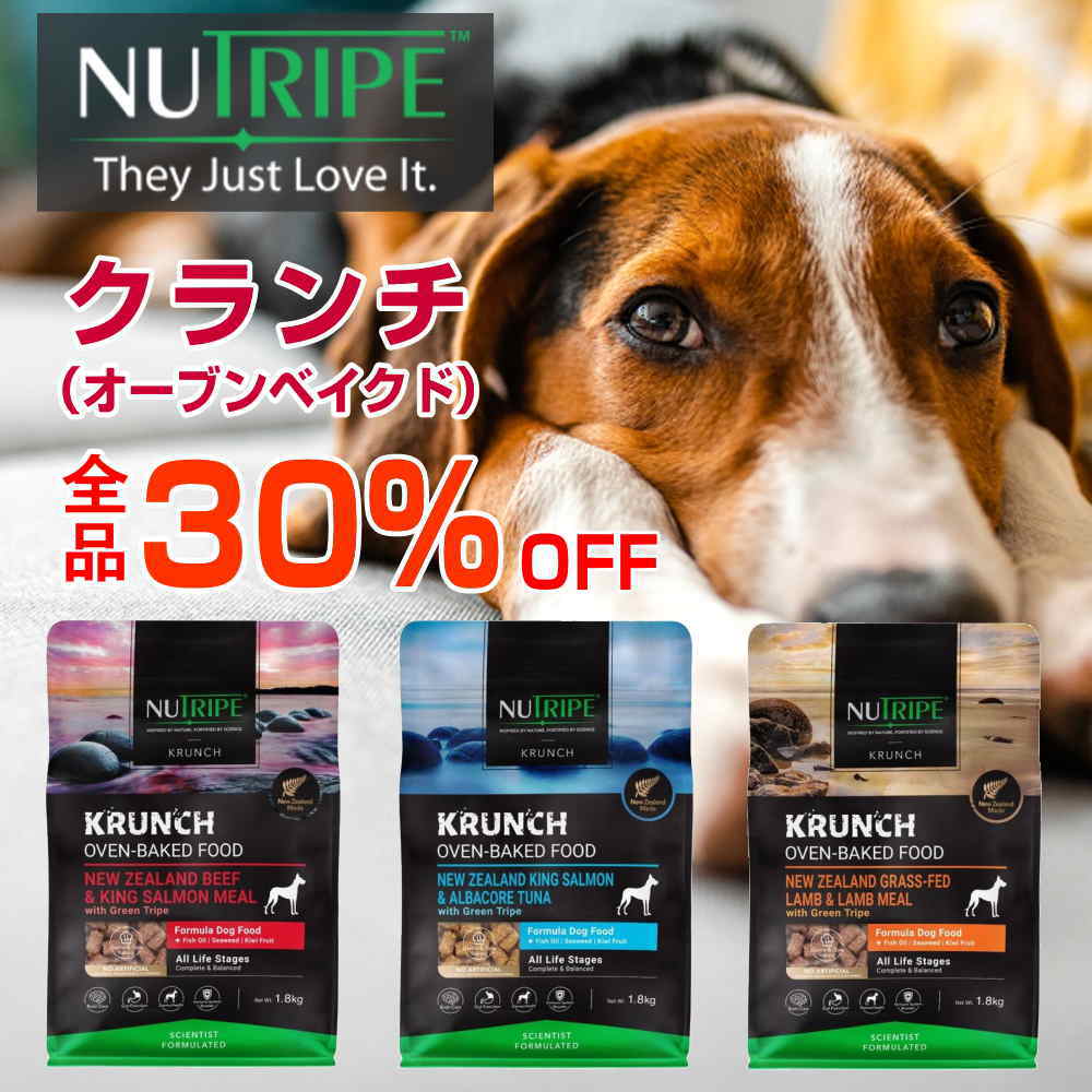 NTクランチ
