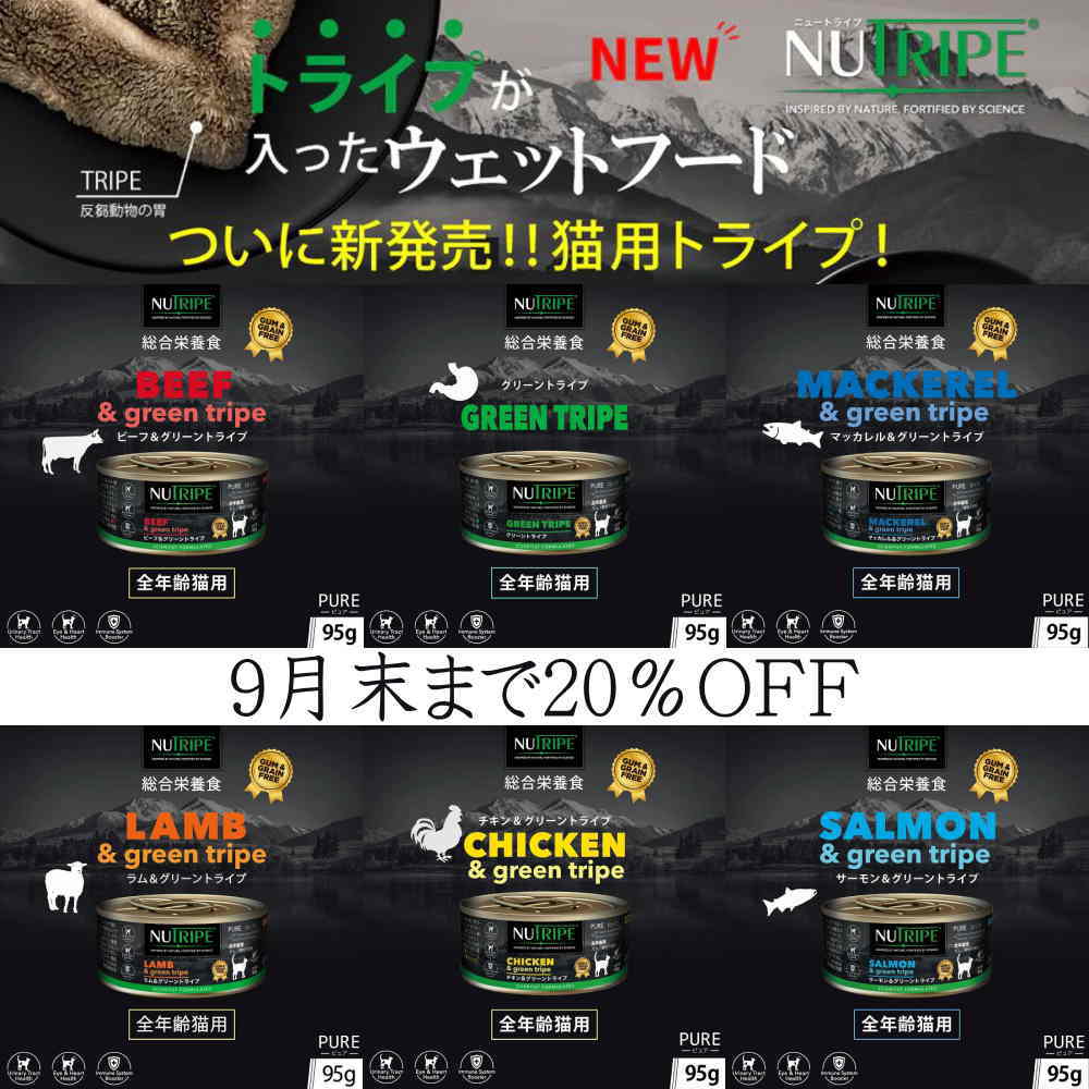 ニュートライプ猫キャンペーン
