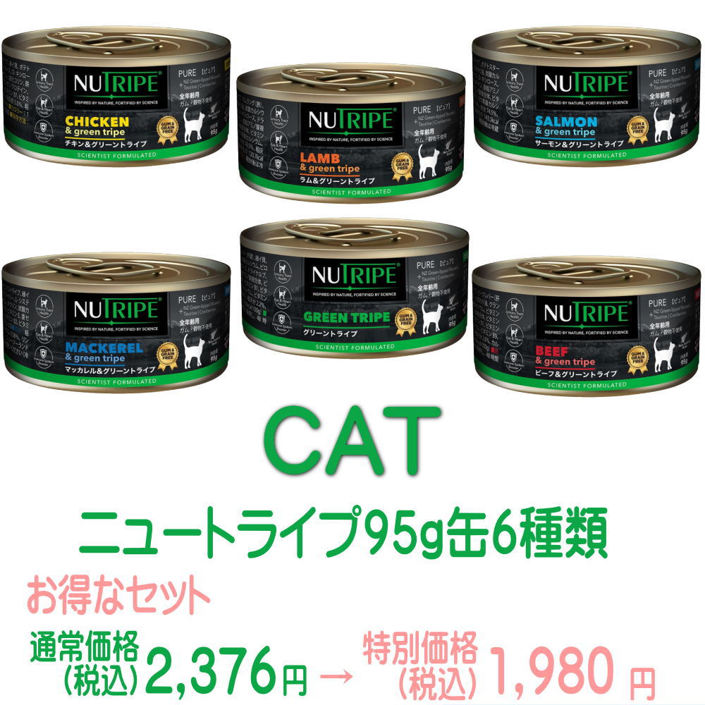 ニュートライプ猫