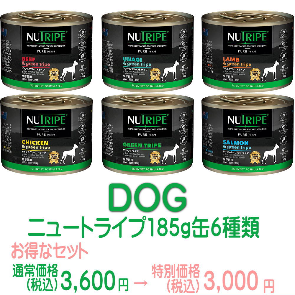 ニュートライプ犬