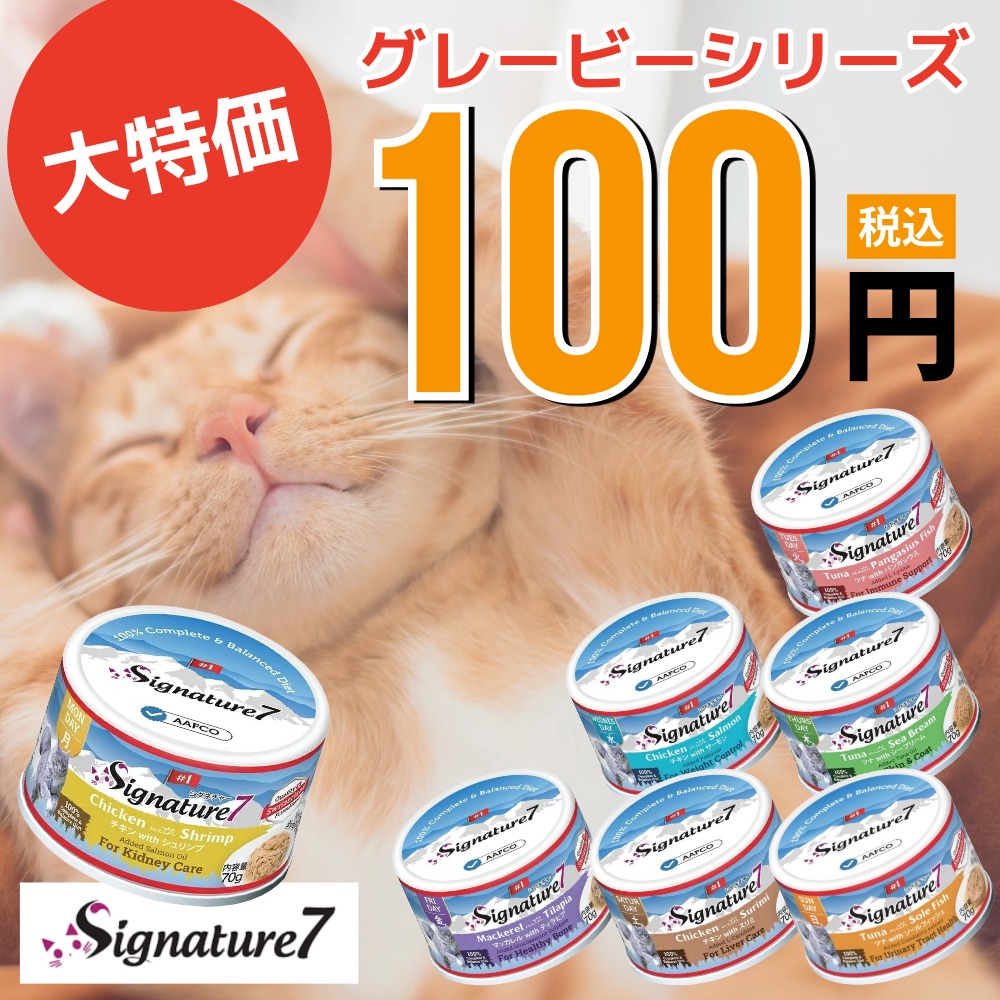 シグネチャー100円