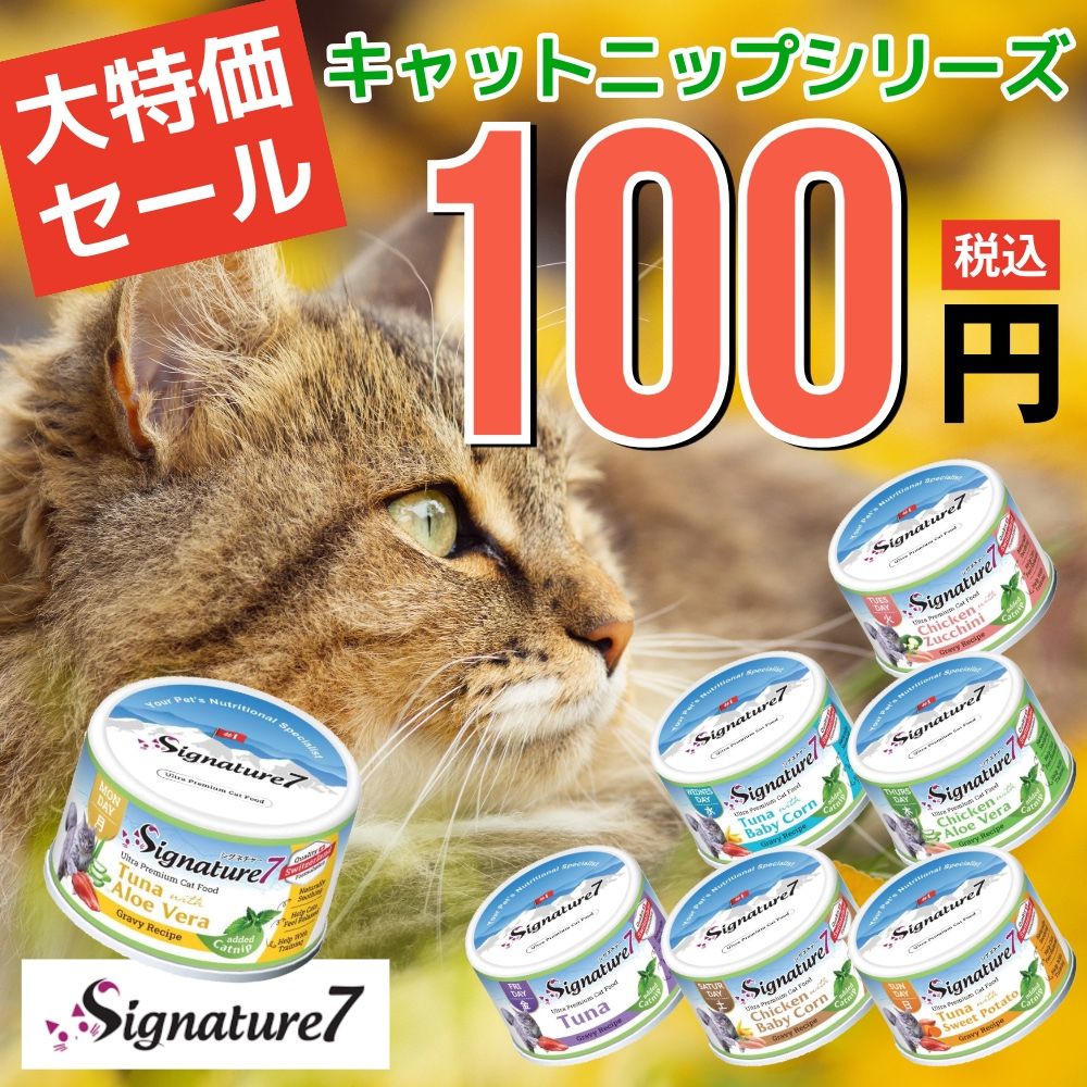 シグネチャーキャットニップ