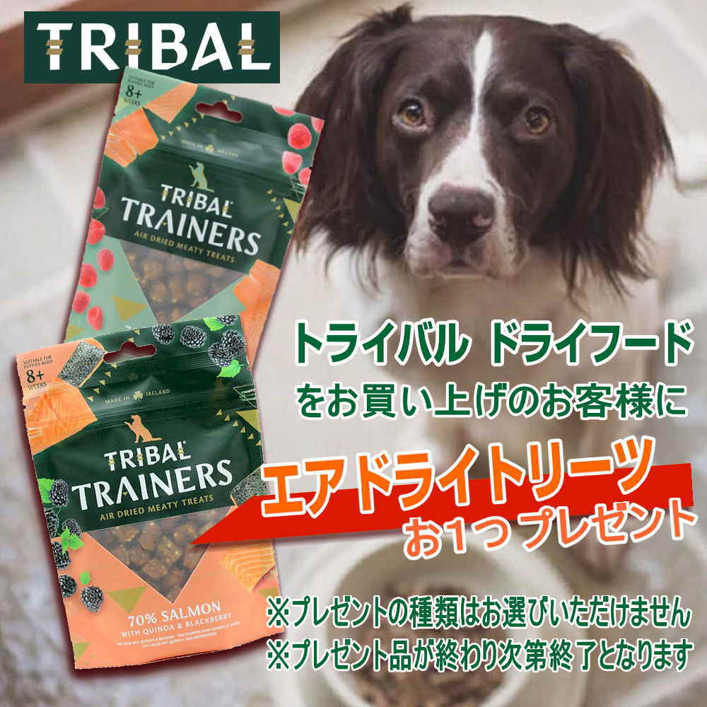 トライバルプレ
