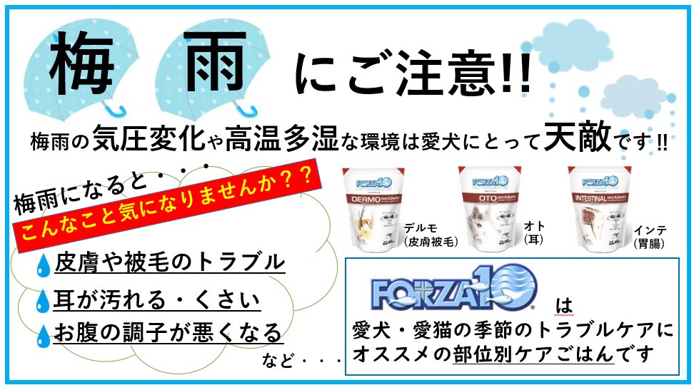 フォルツァ10梅雨