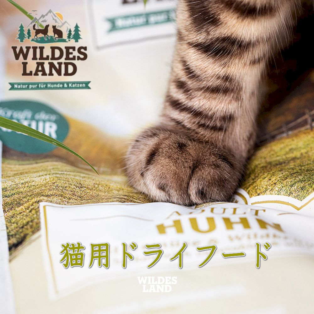 ワイルドランドキャットドライ