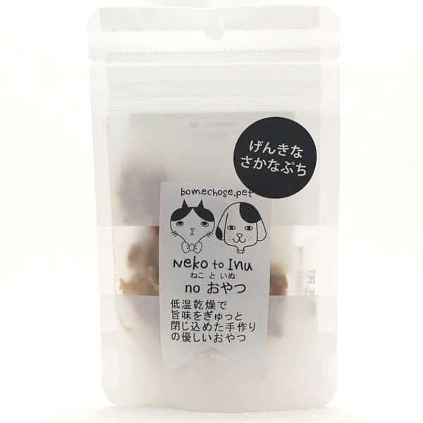 最短賞味2024.7・ボンショーズペット ねこといぬ げんきな さかなぷち