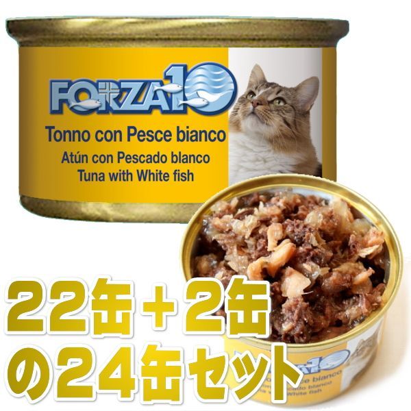 画像1: 最短賞味2025.11・フォルツァ10 猫 メンテナンス マグロ＆白身魚 85g×24缶 成猫シニア猫対応ウェット一般食キャットフードFORZA10正規品fo05678s24 (1)