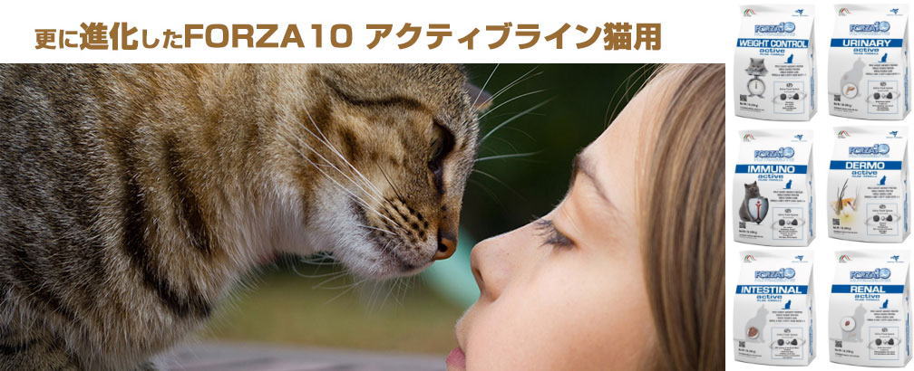 フォルツァ10 猫用NEWアクティブライン