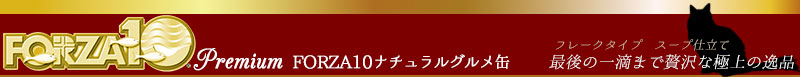 FORZA10 maintenance line（フォルツァディエチ プレミアムライン）