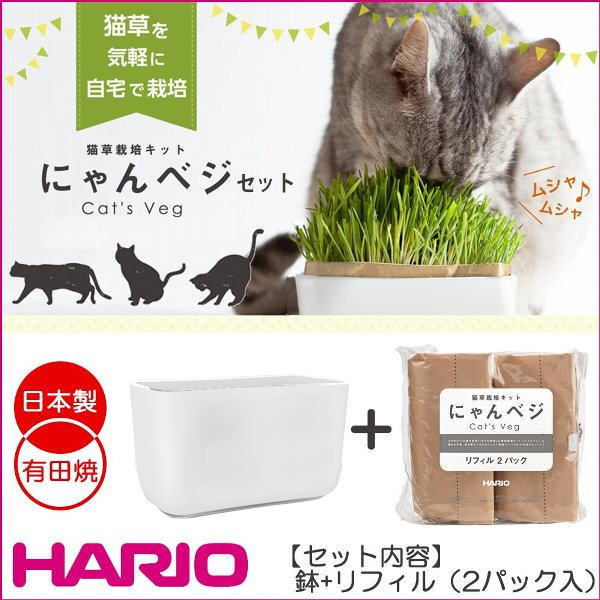 にゃんベジ・セット 猫草栽培キット 有田焼容器・リフィル2個 HARIO ハリオ 日本製ha60374 - なちゅのごはん本店