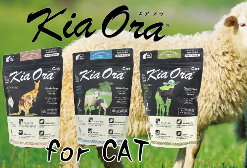 【24時間限定値下】キアオラ　Kia Ora 2.79kg 2個セット