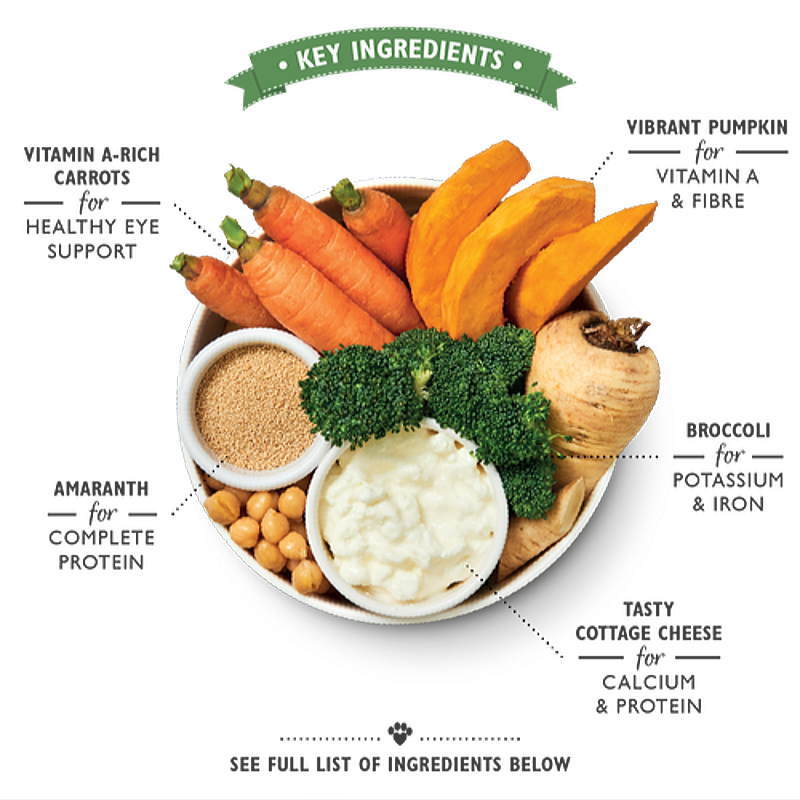 最短賞味23 5 リリーズキッチン 犬 健康的な野菜のご馳走 ドッグ 375g Lid036成犬用ベジタリアン缶 正規品 なちゅのごはん本店