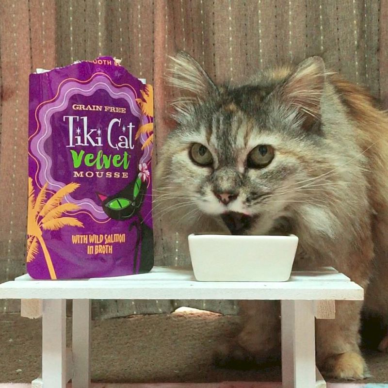 最短賞味2023.10・ティキキャット ベルベット サーモン ふんわりムース 80gパウチ全年齢猫用キャットフード総合栄養食ti80321 -  なちゅのごはん本店