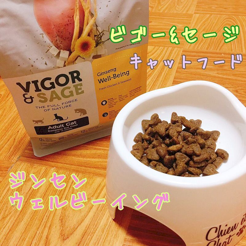 最短賞味22 9 23 ビゴー セージ 猫 ジンセン ウェルビーイング 40g有料サンプル成猫用ドライ正規品vs なちゅのごはん本店 最短賞味22 9 23 ビゴー セージ 猫 ジンセン ウェルビーイング 40g有料サンプル成猫用ドライ正規品vs なちゅのごはん本店