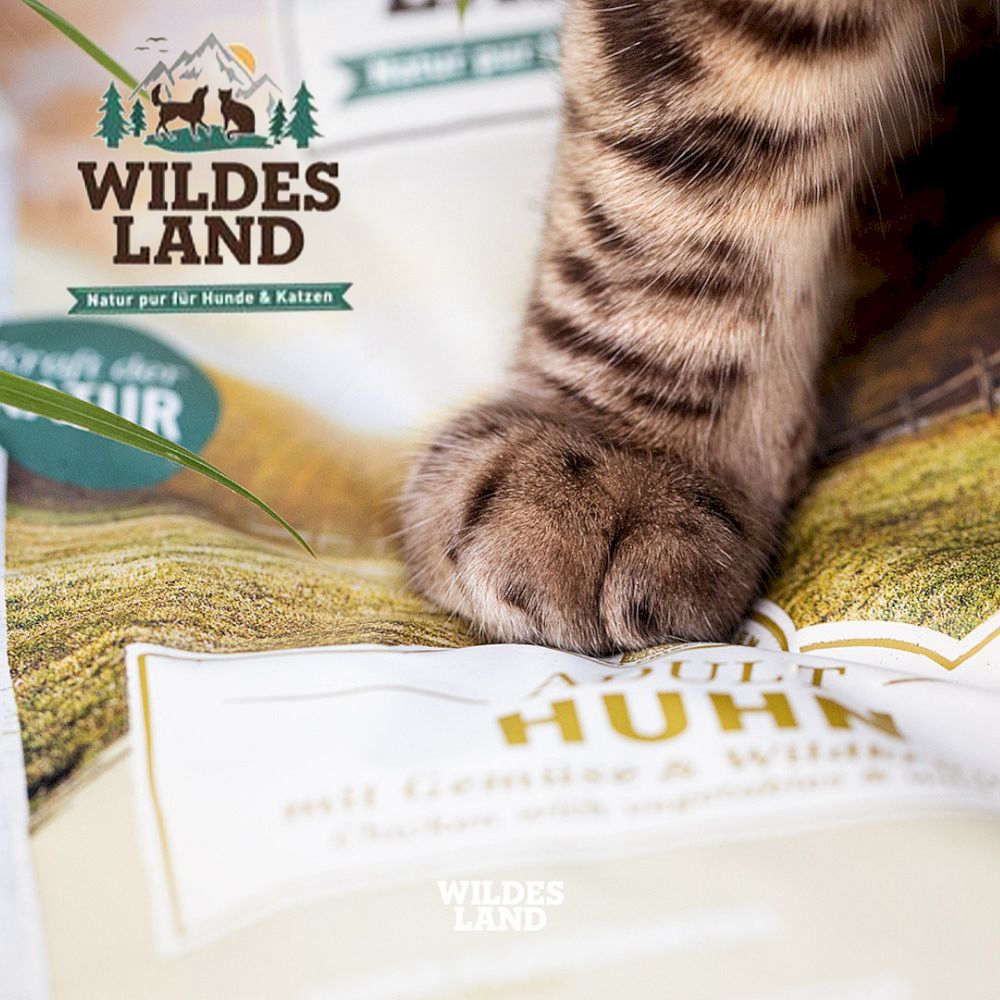 画像6: 最短賞味2027.12・ワイルドランド ウサギ&チキン クランベリー入り 200g缶wl21719成猫用総合栄養食/穀物不使用 正規品 (6)