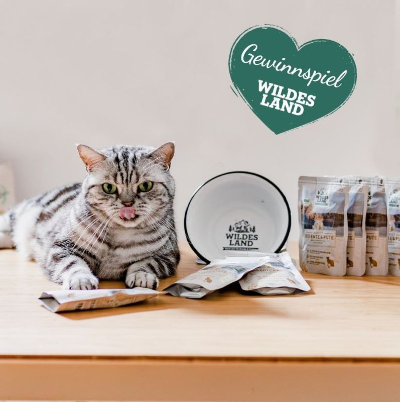 画像7: 最短賞味2027.12・ワイルドランド ウサギ&チキン クランベリー入り 200g缶wl21719成猫用総合栄養食/穀物不使用 正規品 (7)